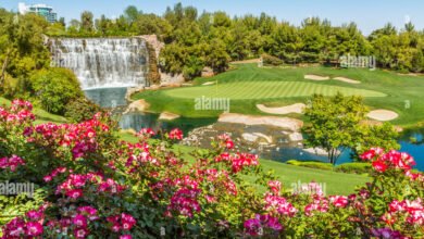 wynn golf course